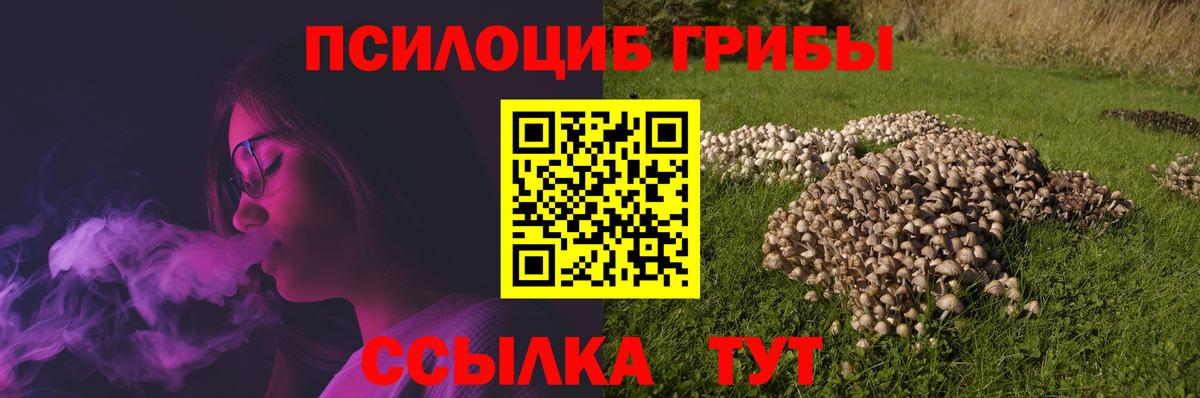 Галлюциногенные грибы Cubensis Тара